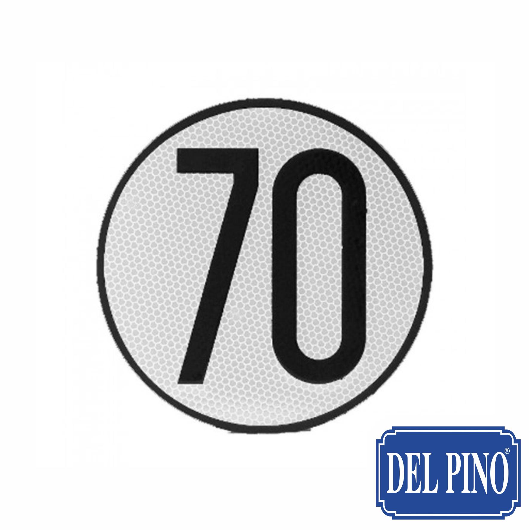 SETRA_298